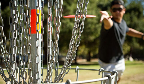 From Amateur To Pro: Steps To Elevate Your Disc Golf Skills